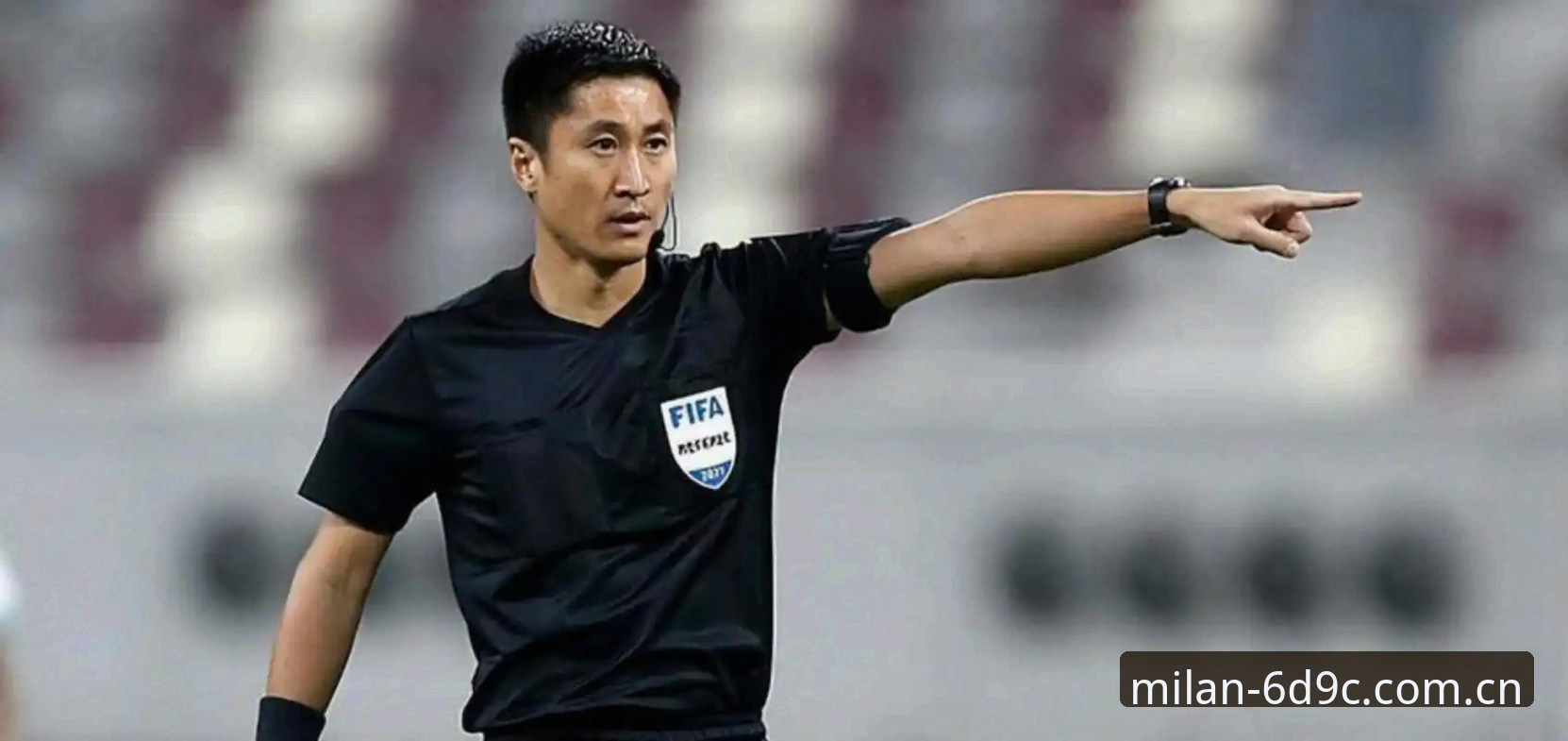 马宁世界杯执法全解读：从避坑角度理解裁判与球迷的关系