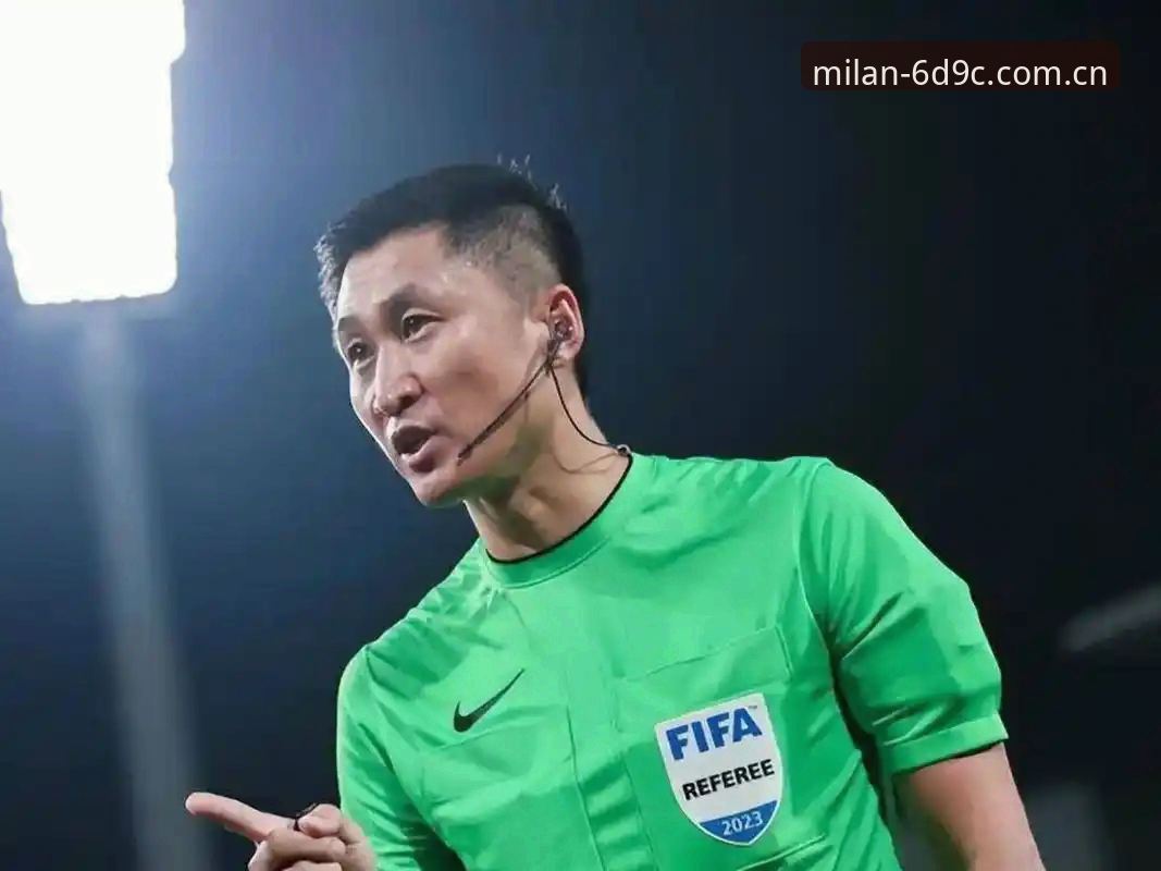 马宁世界杯执法全解读：从避坑角度理解裁判与球迷的关系